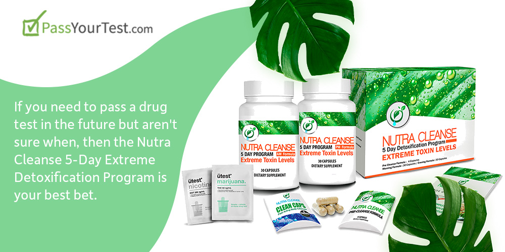 Best 5 Day Detox Kit for an Easy Cleanse 2023 AtOnce